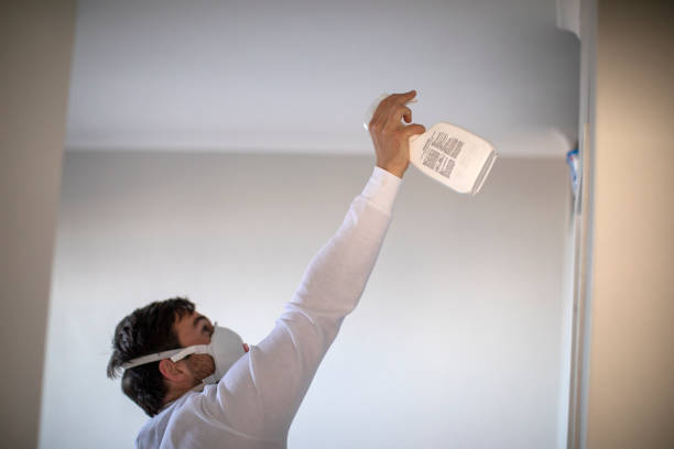 Best Mold Damage Repair  in Black Canyon City, AZ